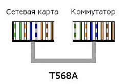 T568A
