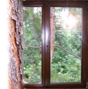 Деревянные окна из сосны