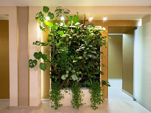Вертикальное озеленение для интерьера