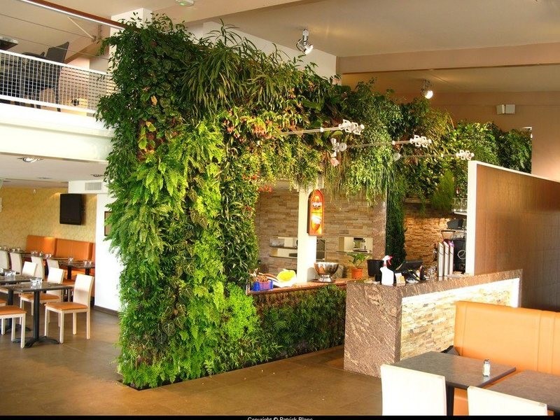 Озеленение ресторана