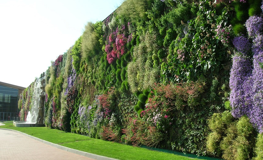 Вертикальный сад на стене