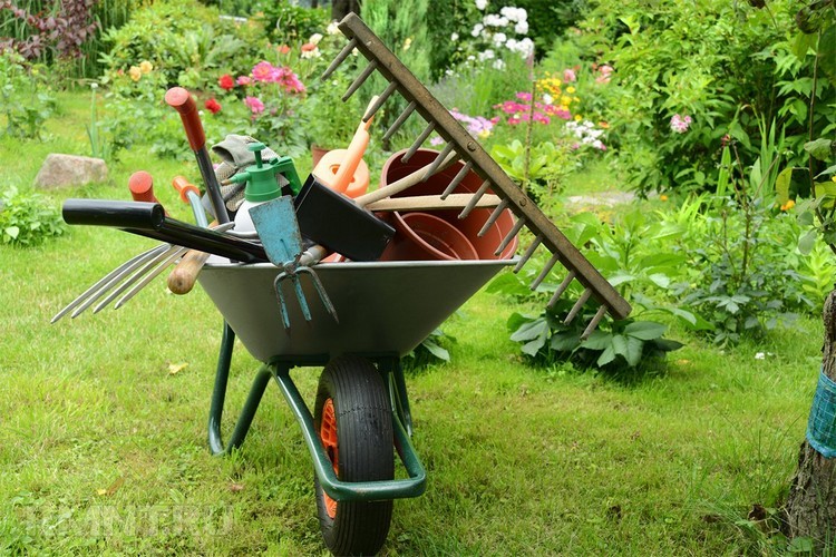Как выбрать садовые инструменты? Какие лучше  - мнение эксперта