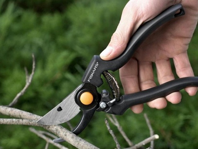 Выбор инструмента для обрезки деревьев и кустов